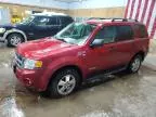 2008 Ford Escape XLT