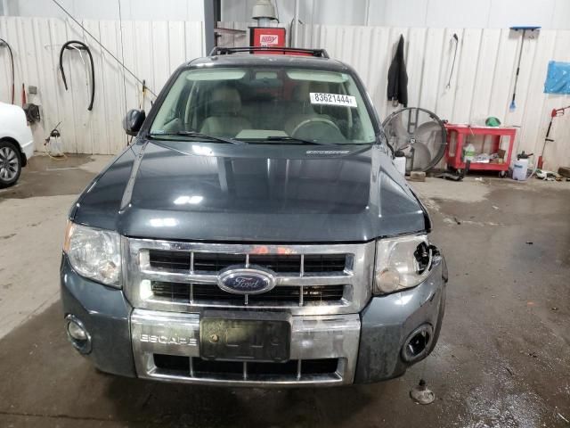 2008 Ford Escape HEV