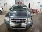 2008 Ford Escape HEV