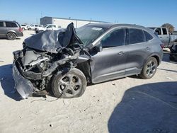 Vehiculos salvage en venta de Copart Haslet, TX: 2024 Ford Escape ST Line