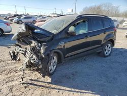 Salvage cars for sale at Oklahoma City, OK auction: 2016 Ford Escape SE