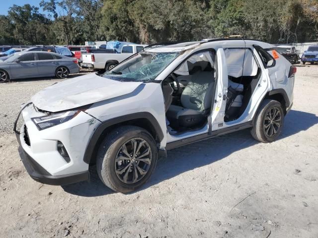 2024 Toyota Rav4 XLE Premium