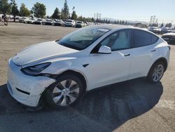 Salvage cars for sale at Rancho Cucamonga, CA auction: 2021 Tesla Model Y