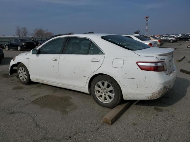 2009 Toyota Camry Hybrid