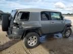 2010 Toyota FJ Cruiser