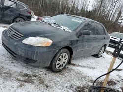 Vehiculos salvage en venta de Copart Ontario Auction, ON: 2003 Toyota Corolla CE