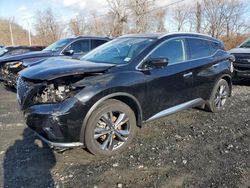 Salvage cars for sale at Marlboro, NY auction: 2023 Nissan Murano Platinum