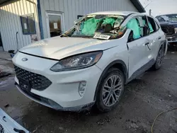 Salvage cars for sale at Pekin, IL auction: 2022 Ford Escape SEL