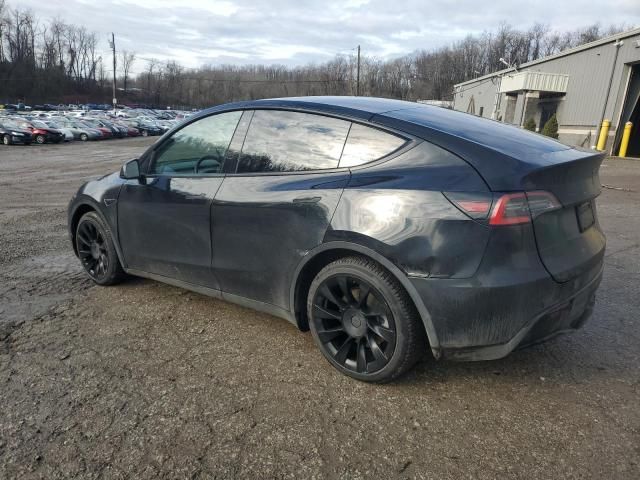 2020 Tesla Model Y