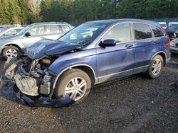 Honda salvage cars for sale: 2010 Honda CR-V EXL