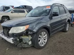 Salvage cars for sale at Brighton, CO auction: 2011 Subaru Forester Limited