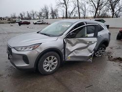 Salvage cars for sale at Bridgeton, MO auction: 2024 Ford Escape Active