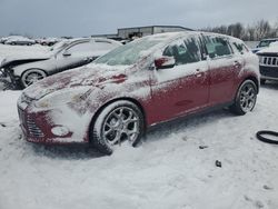 Ford Focus se Vehiculos salvage en venta: 2013 Ford Focus SE