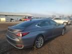 2020 Lexus ES 300H