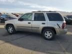 2002 Chevrolet Trailblazer