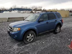 Salvage cars for sale at Barberton, OH auction: 2009 Ford Escape XLT