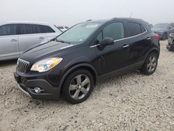 Salvage cars for sale at Taylor, TX auction: 2013 Buick Encore Convenience