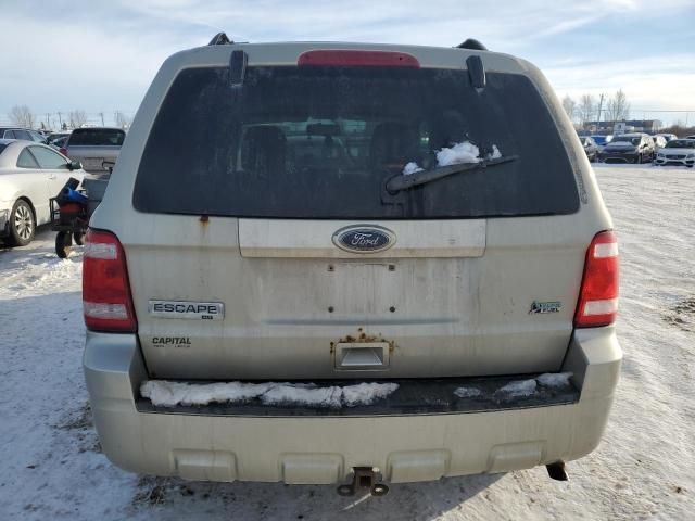 2010 Ford Escape XLT