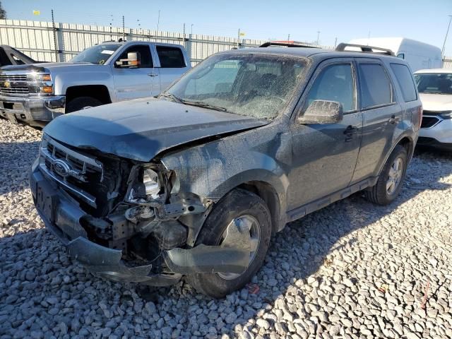 2012 Ford Escape XLT