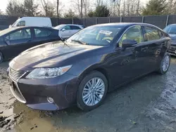 2014 Lexus ES 350 en venta en Waldorf, MD