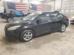 Ford salvage cars for sale: 2014 Ford Focus SE