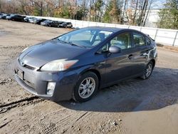 Toyota salvage cars for sale: 2010 Toyota Prius