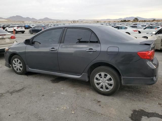 2010 Toyota Corolla Base