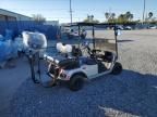 2010 Golf Cart