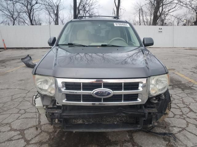 2009 Ford Escape Limited