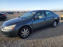 Honda Accord salvage cars for sale: 2005 Honda Accord EX