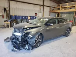 Nissan salvage cars for sale: 2020 Nissan Maxima SV