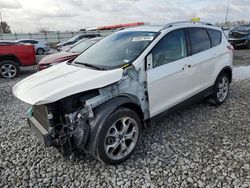 Salvage Cars with No Bids Yet For Sale at auction: 2014 Ford Escape Titanium