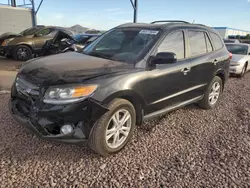 Salvage cars for sale at Phoenix, AZ auction: 2012 Hyundai Santa FE Limited