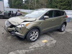 Ford Escape salvage cars for sale: 2013 Ford Escape SEL