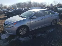 Salvage cars for sale from Copart Chalfont, PA: 2013 Hyundai Sonata Hybrid