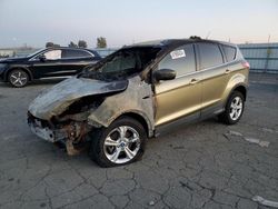 Salvage cars for sale at Martinez, CA auction: 2013 Ford Escape SE