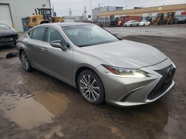 2019 Lexus ES 350