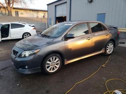 Salvage cars for sale at Albuquerque, NM auction: 2010 Toyota Corolla Base