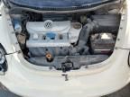 2006 Volkswagen New Beetle 2.5L Option Package 2