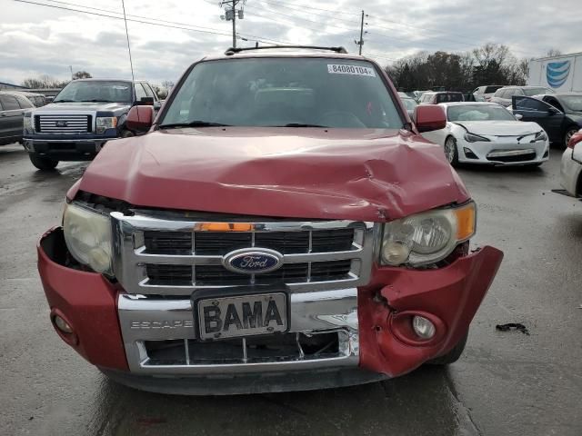 2010 Ford Escape Limited