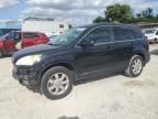 2008 Honda CR-V EXL