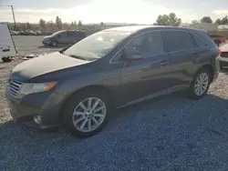 Toyota salvage cars for sale: 2011 Toyota Venza