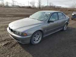 BMW 5 Series Vehiculos salvage en venta: 2003 BMW 530 I Automatic