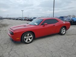 Dodge salvage cars for sale: 2013 Dodge Challenger SXT