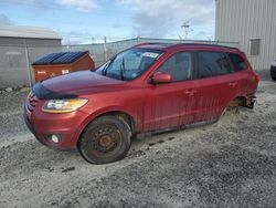 Vehiculos salvage en venta de Copart Elmsdale, NS: 2010 Hyundai Santa FE GLS