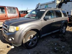 Salvage cars for sale from Copart Riverview, FL: 2009 Ford Escape XLT