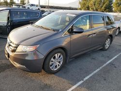 Salvage cars for sale at Rancho Cucamonga, CA auction: 2016 Honda Odyssey EX