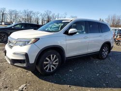 Honda Pilot salvage cars for sale: 2019 Honda Pilot EXL