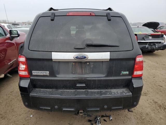 2011 Ford Escape Limited