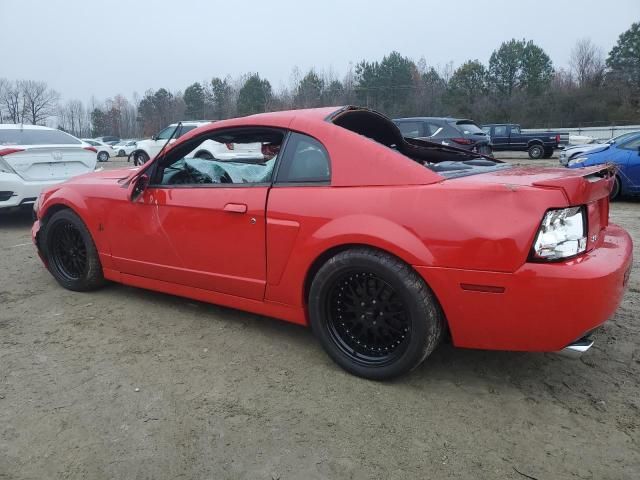 2004 Ford Mustang Cobra SVT